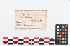 Etikett zu Bronzebuckelarmreif (NHMW-PRAE-024020)